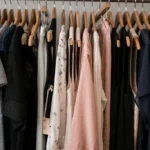Built-in reach-in closet with organized hanging clothes